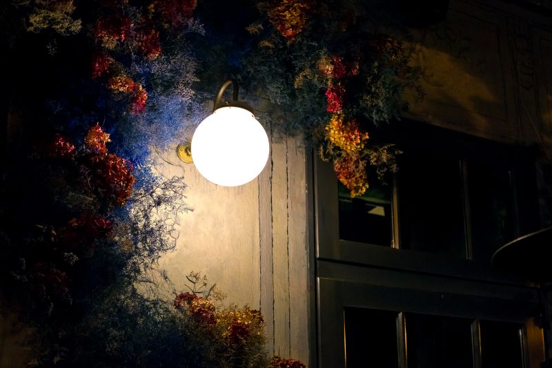 Courtyard Light Installation in Denver County, CO