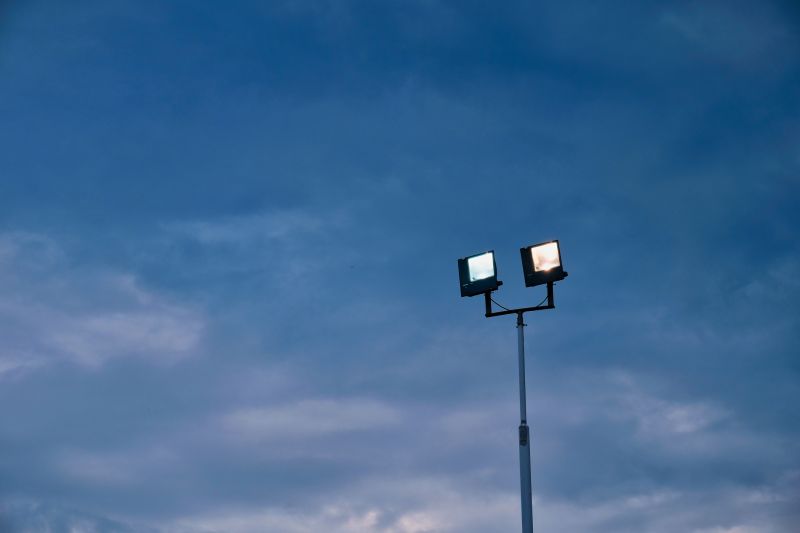 Pond Lighting Installation in Honolulu, HI