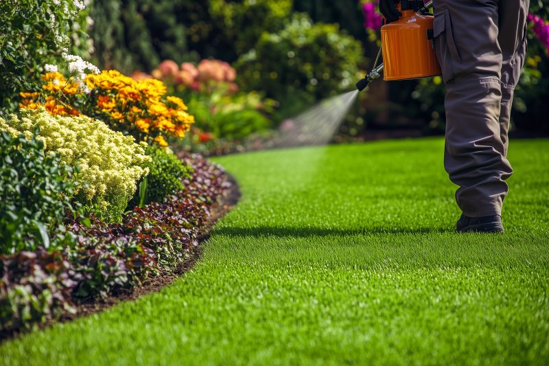 Spring Lawn Treatment in Ventura County, CA