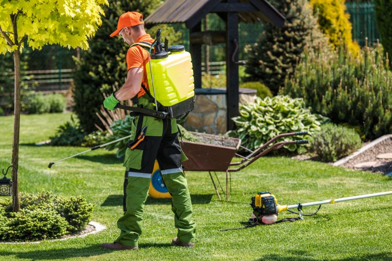 Spring Lawn Treatment in Honolulu, HI